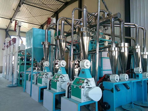 連云港市成套糧食磨面機(jī)多少錢臨沂大華機(jī)械廠