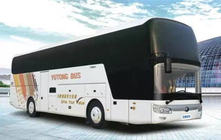 周末熱浪島四季恒溫水世界一日游，舊機動車煥發新活力